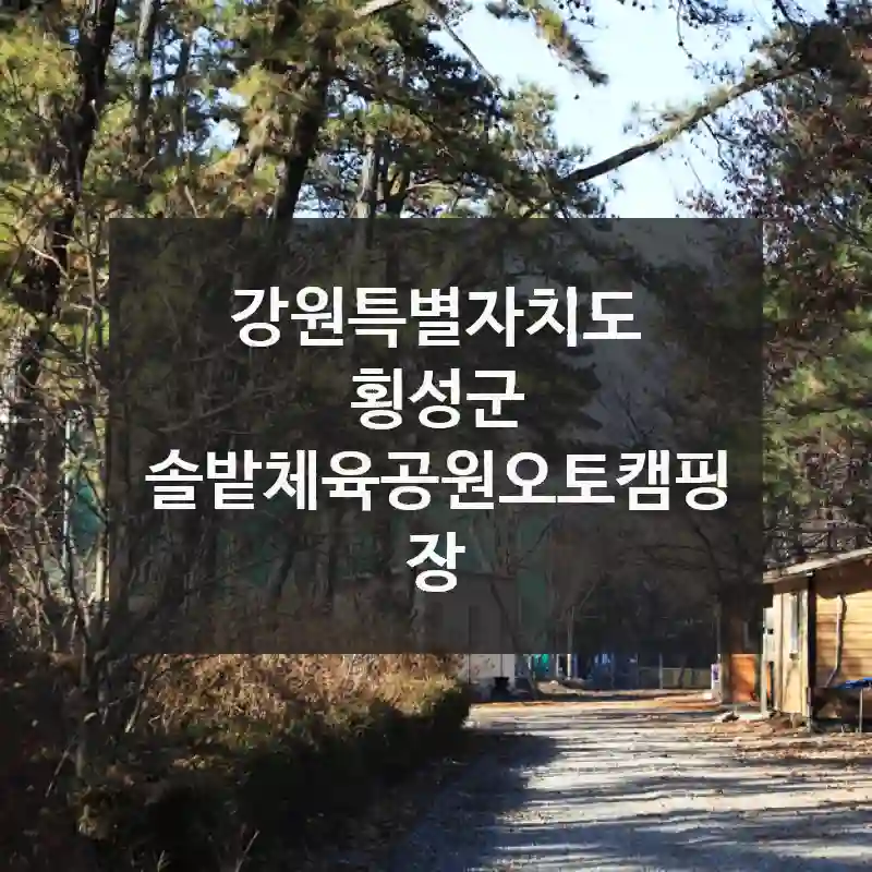 강원특별자치도 횡성군
솔밭체육공원오토캠핑장