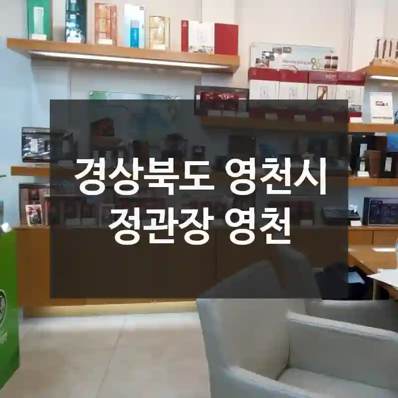 경상북도 영천시
정관장 영천
