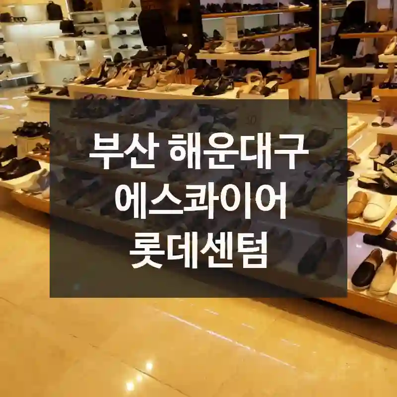 에스콰이어 롯데센텀 가성비 높게 즐기기 – 위치 안내, 인기 스팟, 꼭 챙겨야 할 포인트