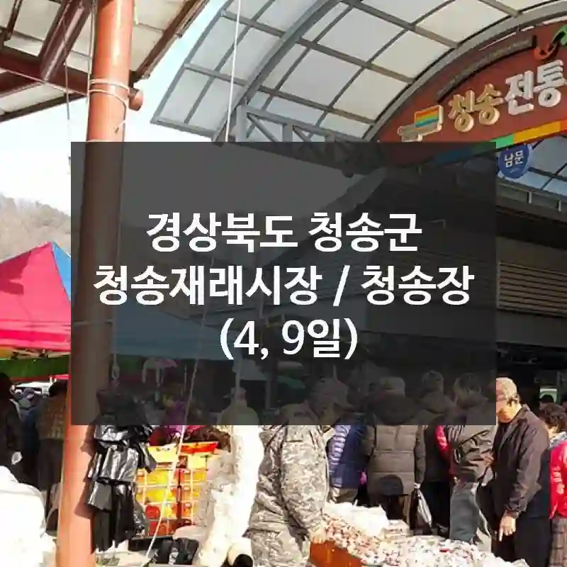 청송재래시장 / 청송장 (4, 9일) 나들이 루트 – 경상북도 청송군의 핫플레이스