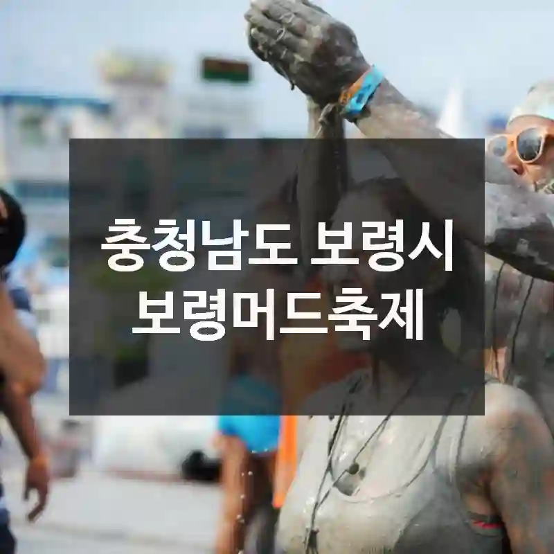 충청남도 보령시
보령머드축제