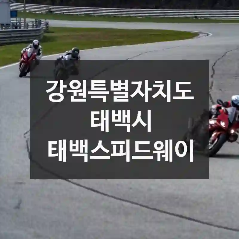 태백스피드웨이 한눈에 보기! 위치, 볼거리, 팁까지