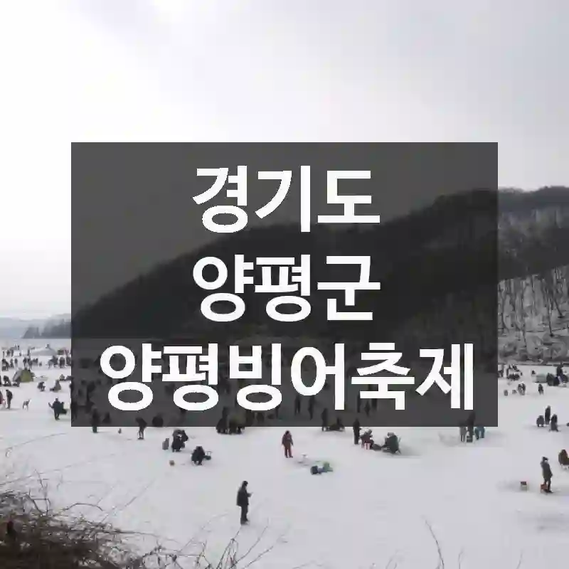 경기도 양평군
양평빙어축제