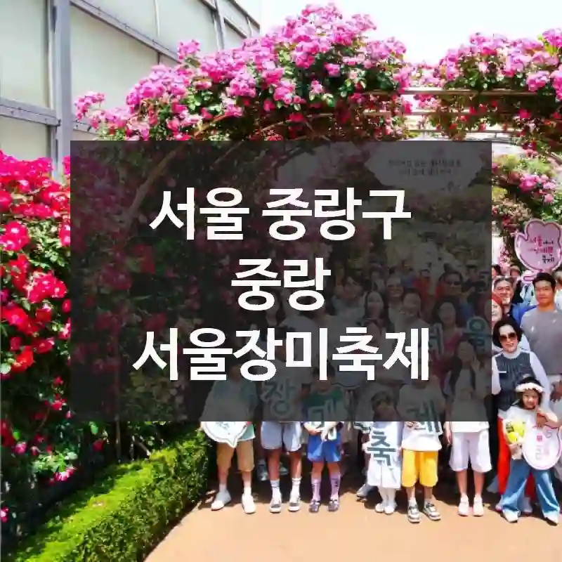 서울 중랑구
중랑 서울장미축제