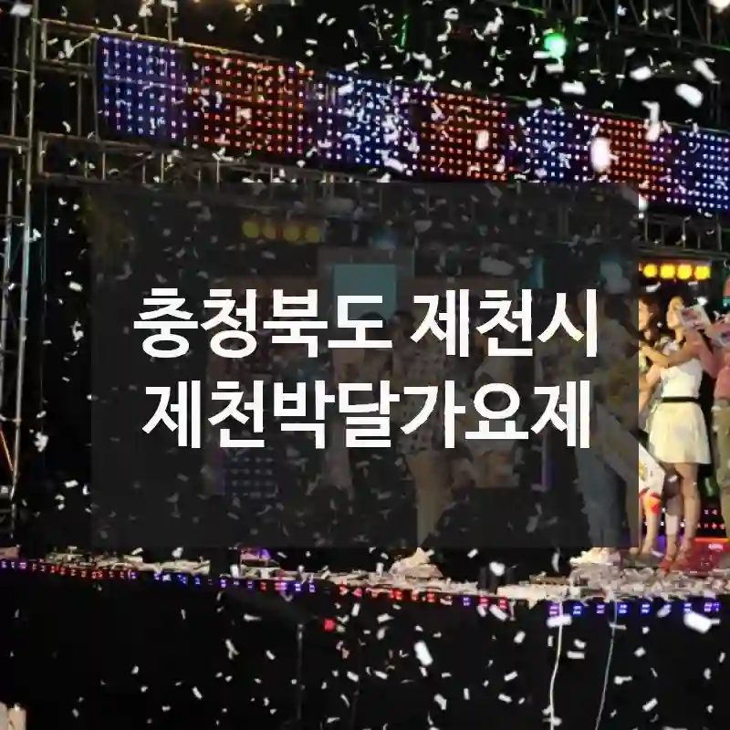 제천박달가요제 이렇게 즐기면 후회 없어요!