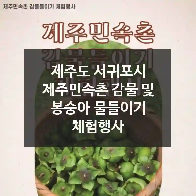 제주민속촌 감물 및 봉숭아 물들이기 체험행사 이렇게 준비하세요! 찾아가는 법, 재미 요소, 현장 팁 정리