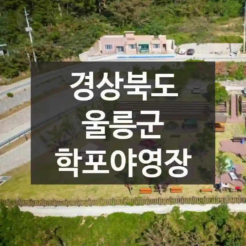 경상북도 울릉군
학포야영장