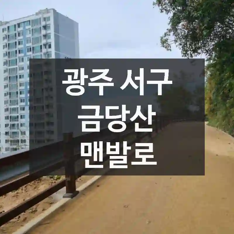 광주 서구
금당산 맨발로