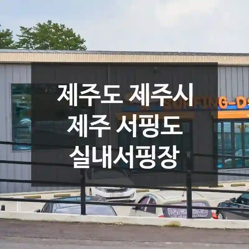 제주도 제주시
제주 서핑도 실내서핑장