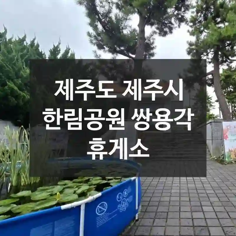 새로운 추억을 만들다 – 제주도 제주시 한림공원 쌍용각 휴게소에서 재미 요소, 체험 팁