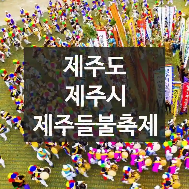 제주도 제주시
제주들불축제