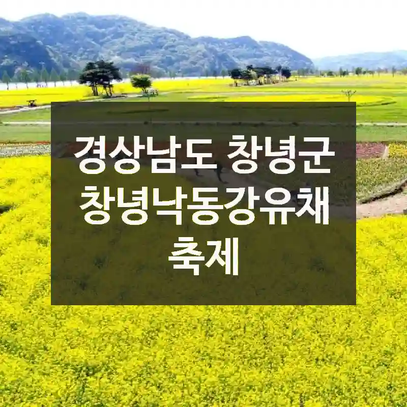 경상남도 창녕군
창녕낙동강유채축제