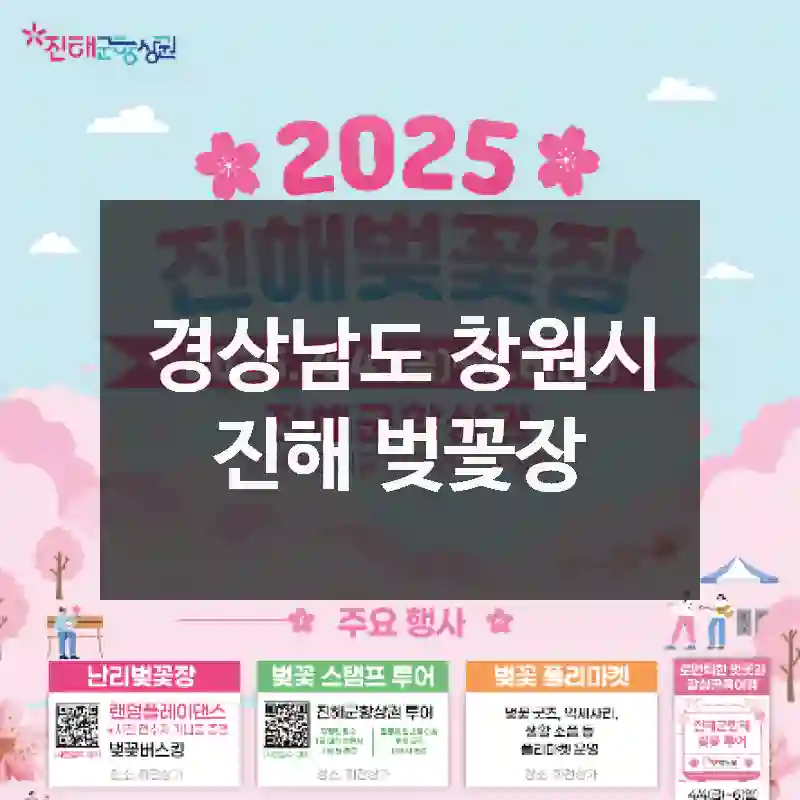 경상남도 창원시
진해 벚꽃장