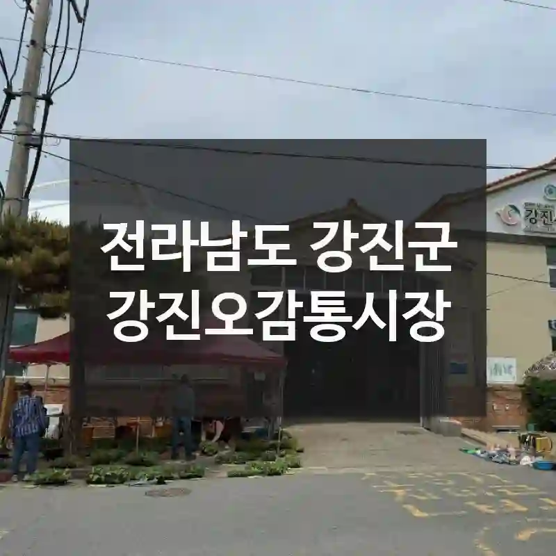 무조건 저장각! 전라남도 강진군에서 발견한 강진오감통시장, 현장 꿀팁