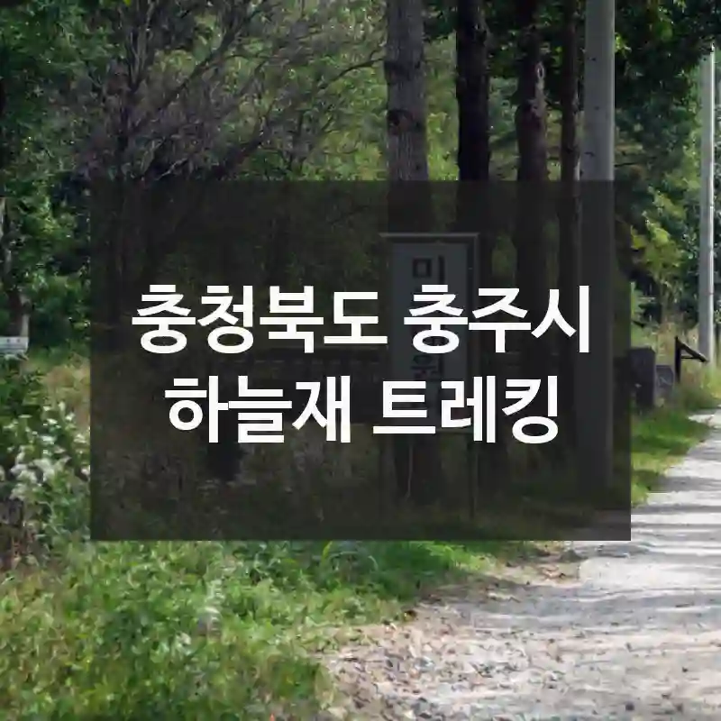 충청북도 충주시
하늘재 트레킹