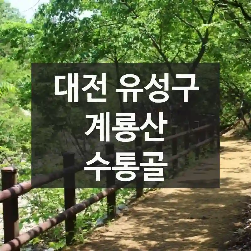 대전 유성구
계룡산 수통골