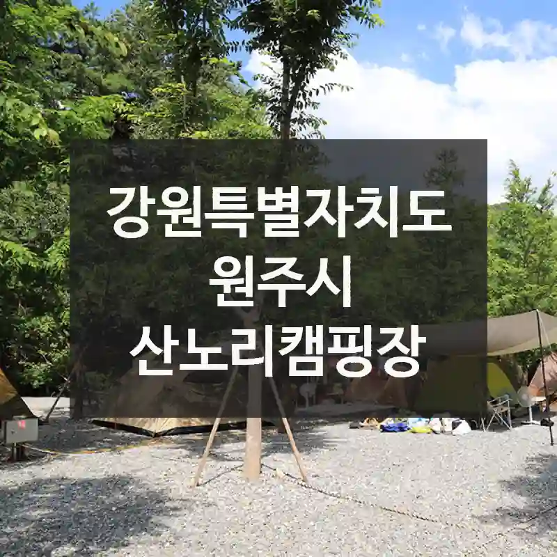 산노리캠핑장 합리적으로 즐기는 법 – 위치 정리, 인생샷 명소, 실전 팁