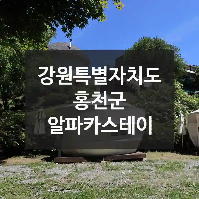 강원특별자치도 홍천군
알파카스테이
