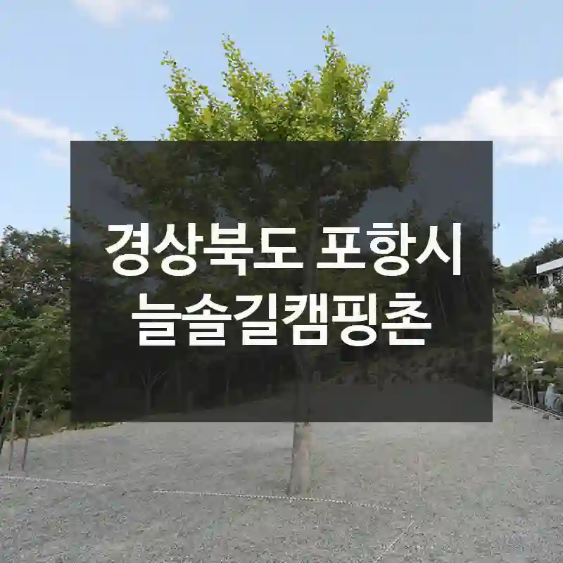 경상북도 포항시
늘솔길캠핑촌