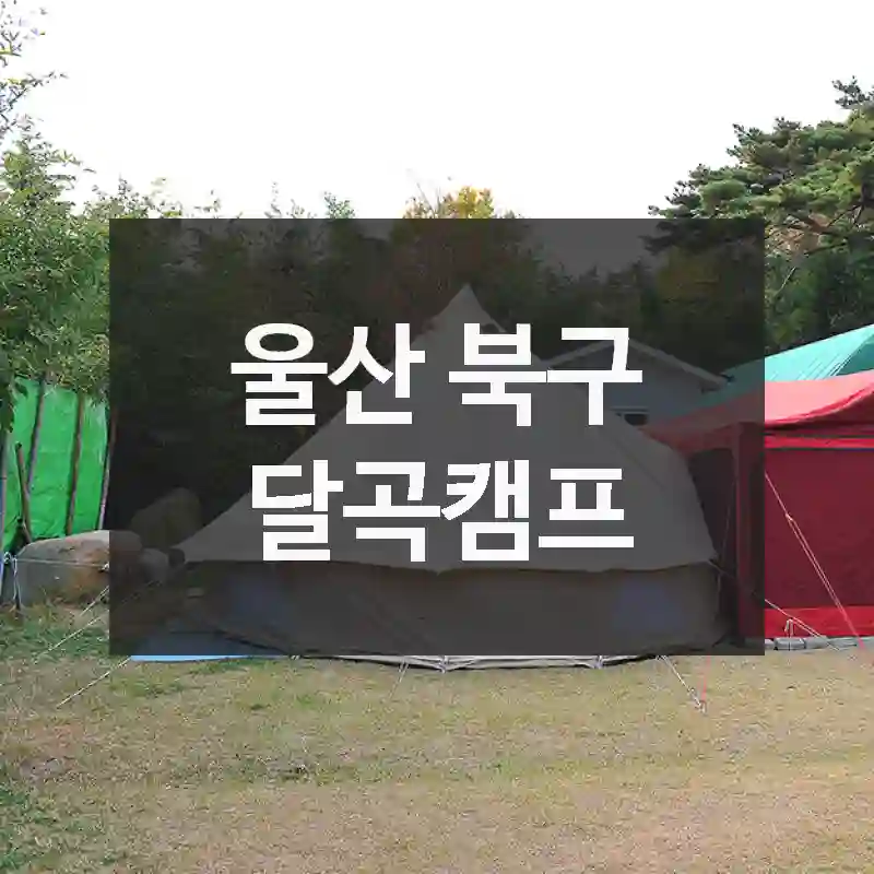 울산 북구 “달곡캠프” 퀵 가이드! 찾는 방법, 재밌는 콘텐츠, 활용법 총정리