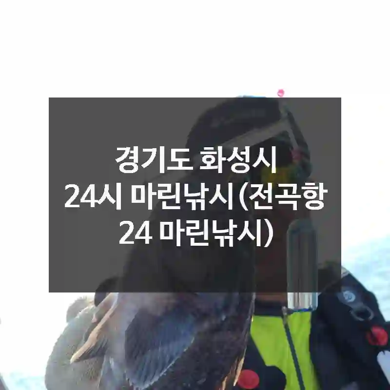 경기도 화성시
24시 마린낚시(전곡항 24 마린낚시)