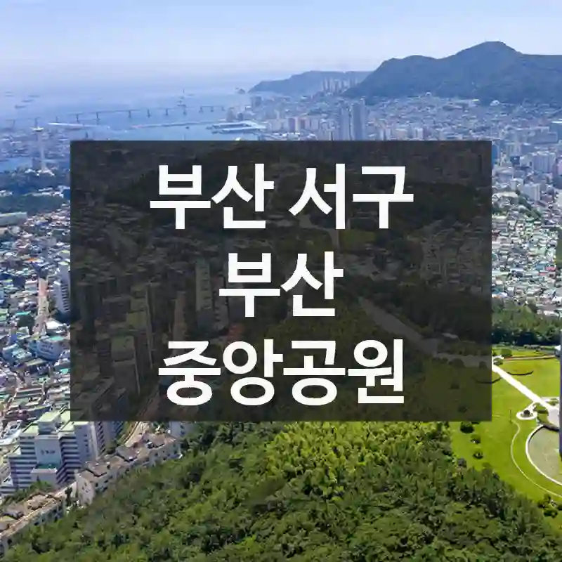 부산 서구
부산 중앙공원