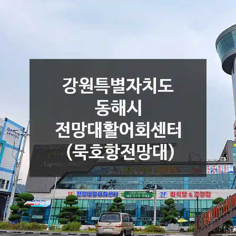 전망대활어회센터 (묵호항전망대) 직접 다녀와보세요. 재미있는 일이 있을 수 있어요.