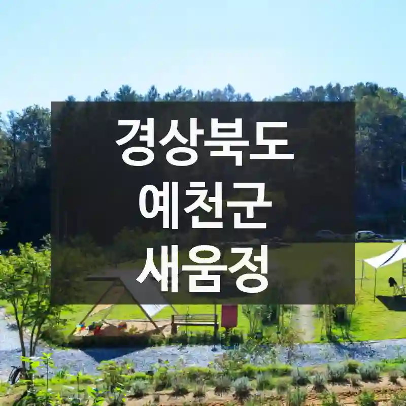 새움정 알차게 즐기기 – 위치 및 교통, 명소 소개, 유용한 팁