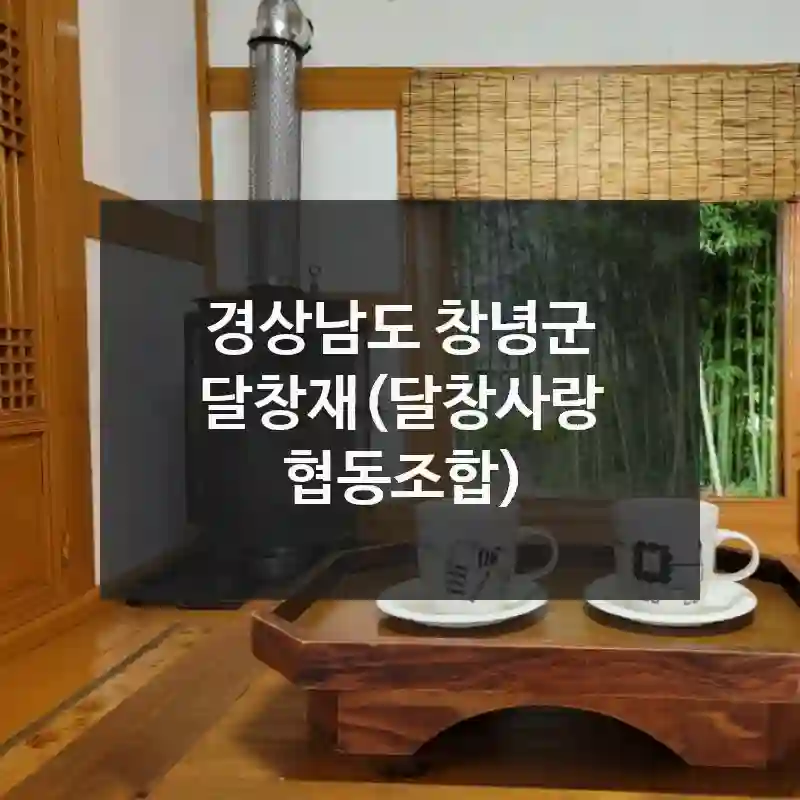 경상남도 창녕군 “달창재(달창사랑 협동조합)” 퀵 가이드! 주차장 위치, 놓치지 말아야 할 곳, 체험 꿀팁 총정리