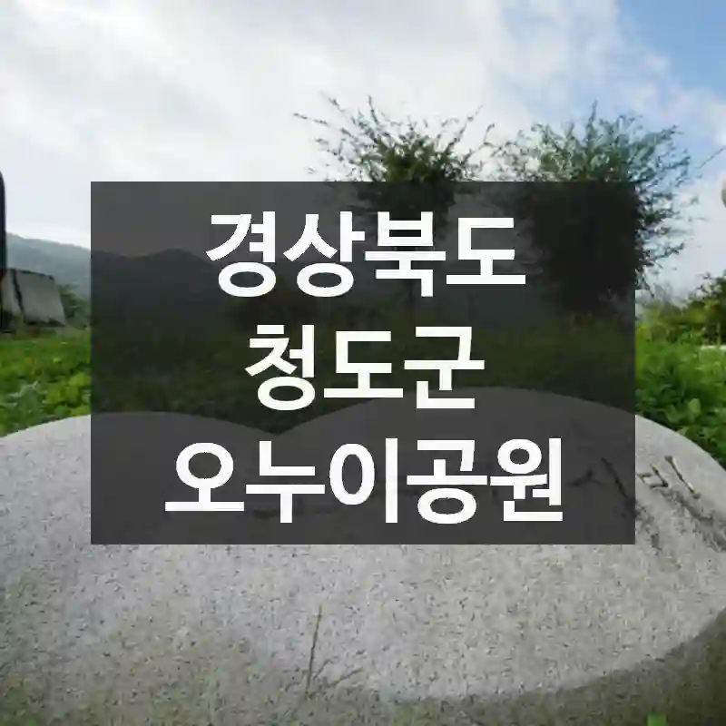 분위기 맛집! 경상북도 청도군 오누이공원에서 분위기 만끽, 이용 요령까지