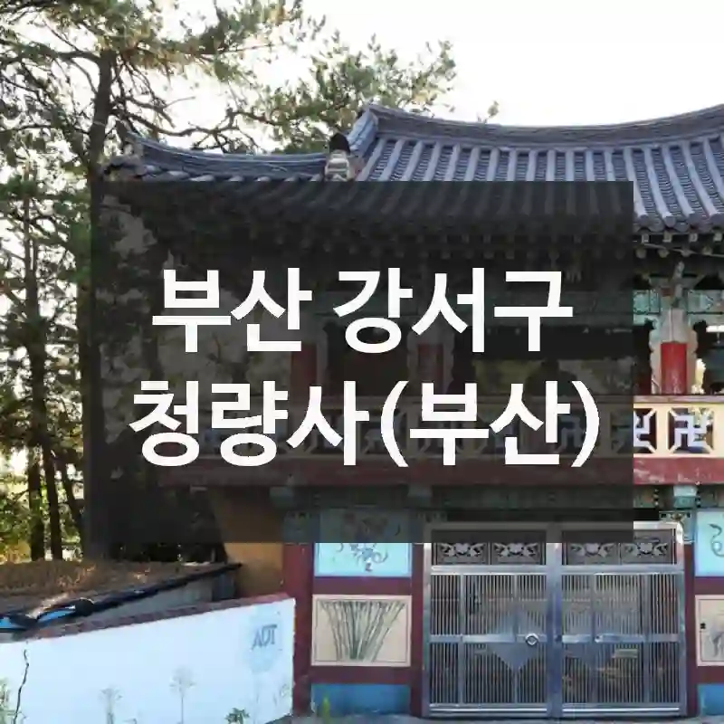 나만 알고 싶은 비밀 장소, 청량사(부산)에서의 잊지 못할 하루