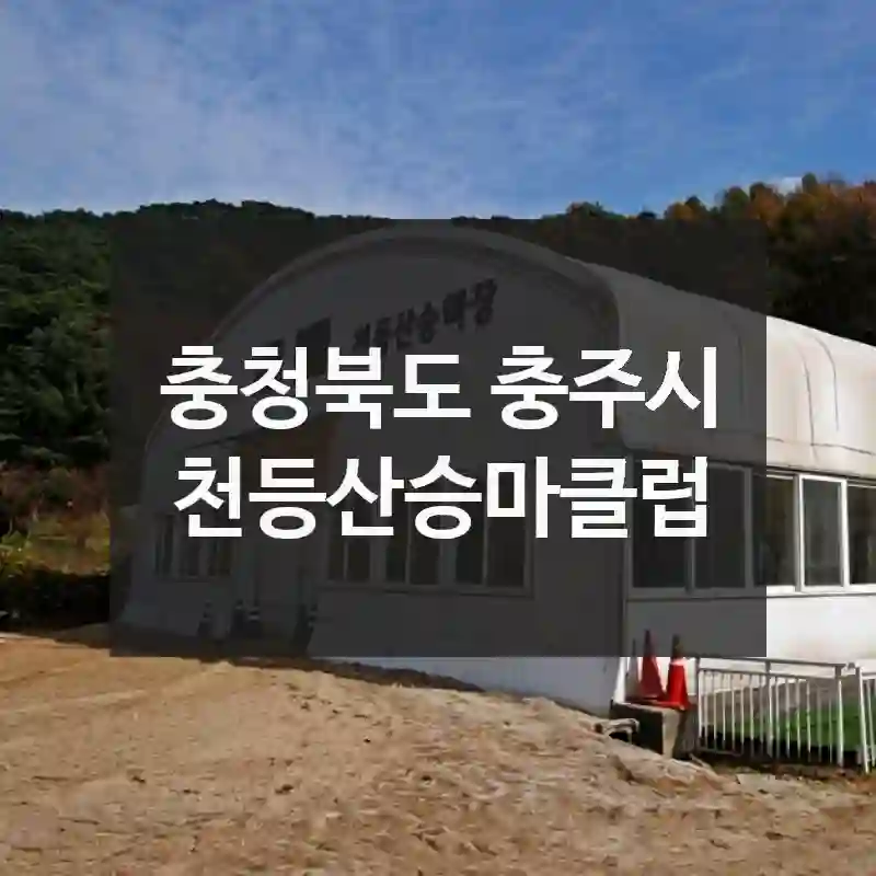 충청북도 충주시
천등산승마클럽