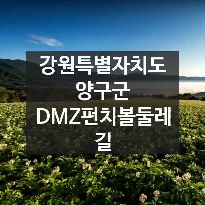 강원특별자치도 양구군
DMZ펀치볼둘레길