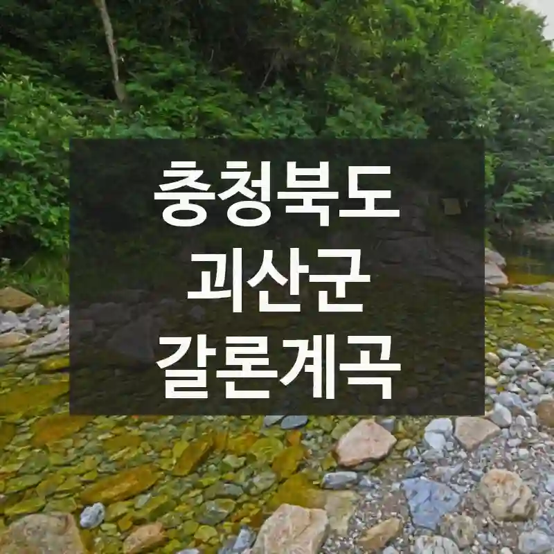 충청북도 괴산군
갈론계곡