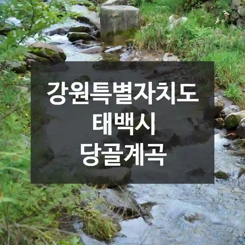 강원특별자치도 태백시
당골계곡