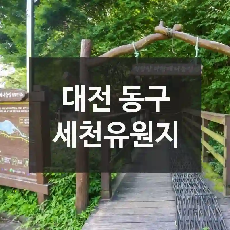 세천유원지 완벽하게 즐기기 – 어디에 있나?, 놀거리, 알짜 팁까지