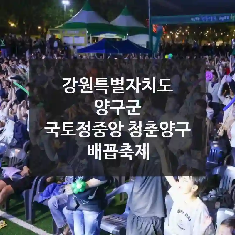 여긴 꼭 가봐야 해! 강원특별자치도 양구군에서 만난 “국토정중앙 청춘양구 배꼽축제”, 볼거리, 꿀팁까지