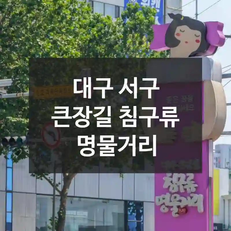 오늘은 여기 어때요? 대구 서구 “큰장길 침구류 명물거리”에서 느낀 색다른 기분