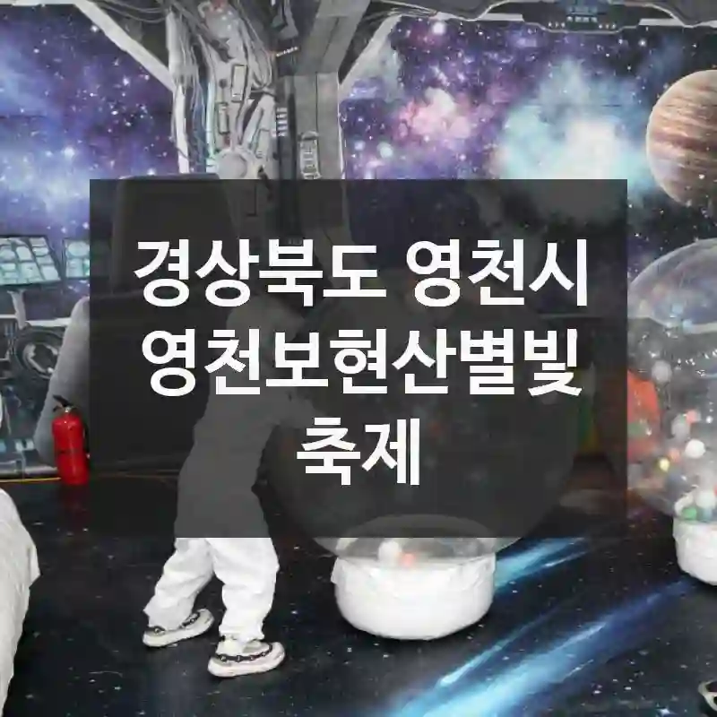 경상북도 영천시
영천보현산별빛축제