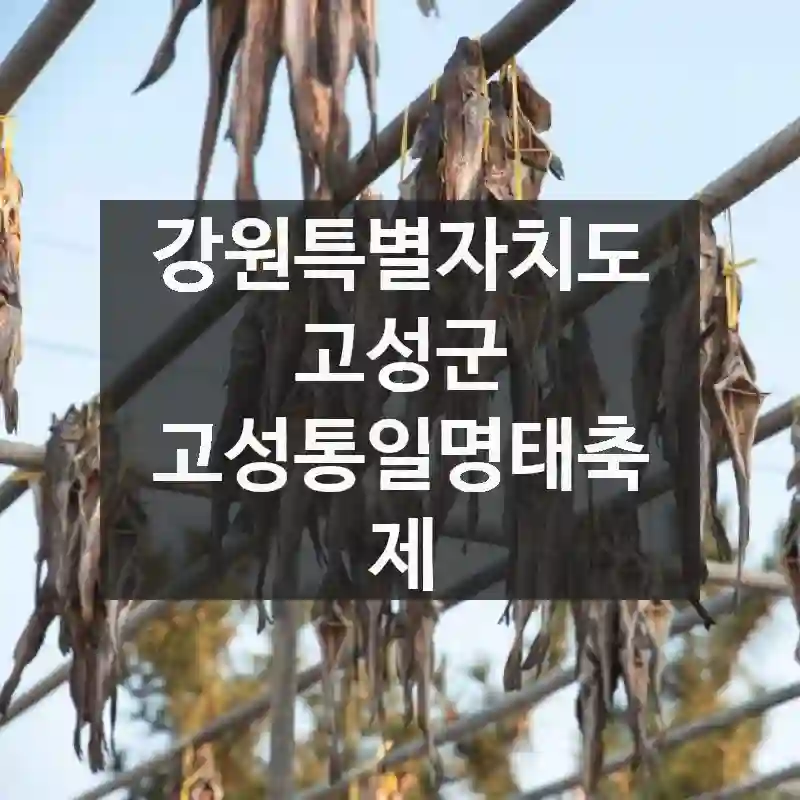 강원특별자치도 고성군
고성통일명태축제