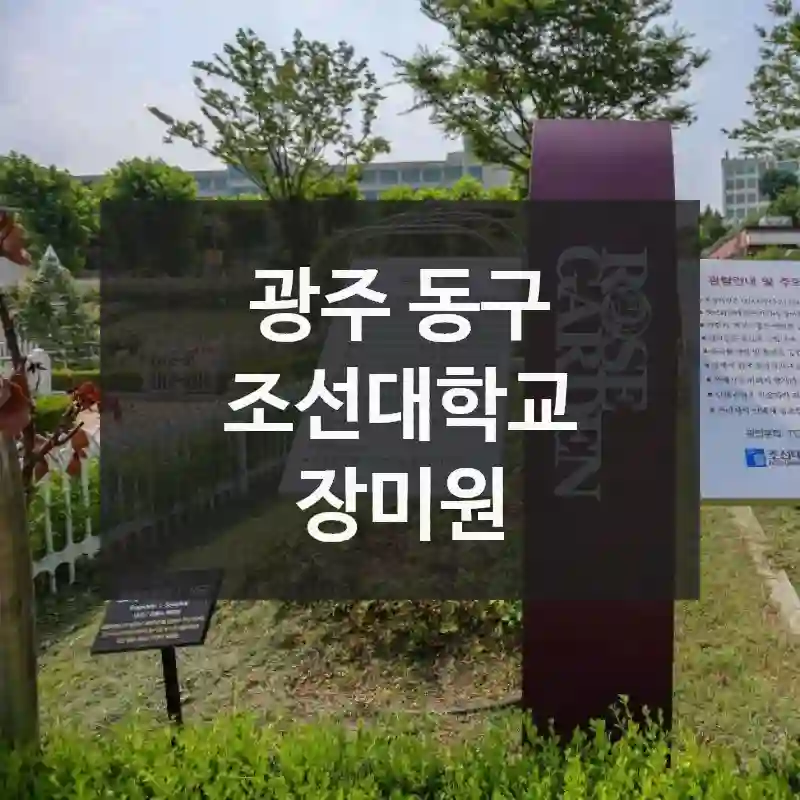 광주 동구
조선대학교 장미원