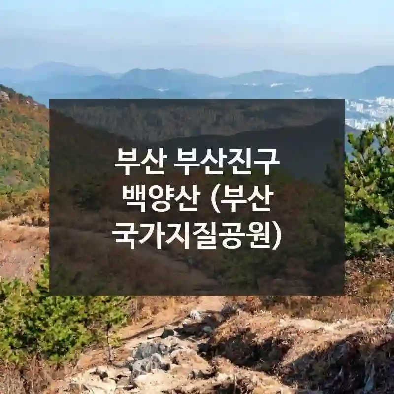 부산 부산진구
백양산 (부산 국가지질공원)