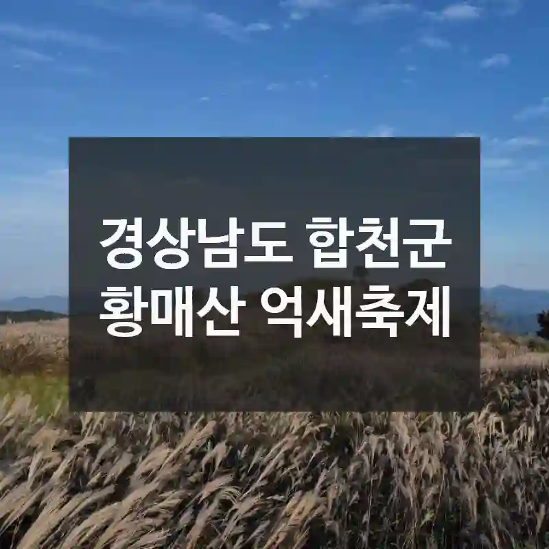 경상남도 합천군
황매산 억새축제