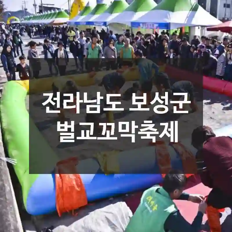 전라남도 보성군
벌교꼬막축제