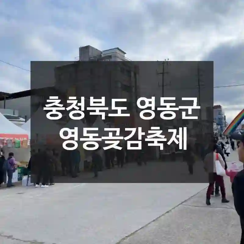 영동곶감축제 가기 전 체크리스트! 찾아가는 법, 관람 포인트, 활용 팁 정리