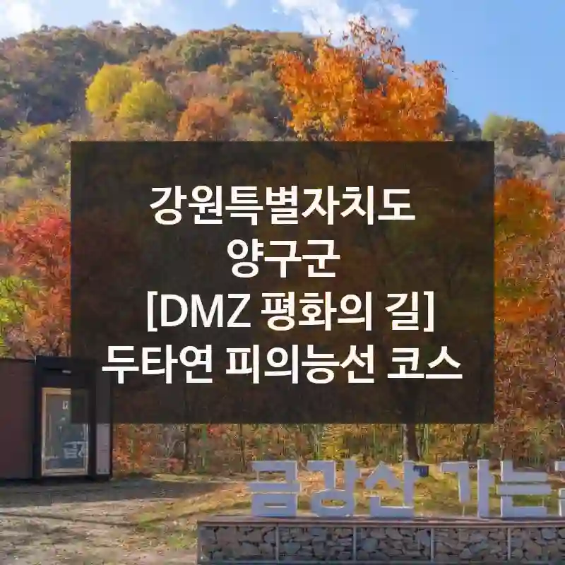 강원특별자치도 양구군
[DMZ 평화의 길] 두타연 피의능선 코스