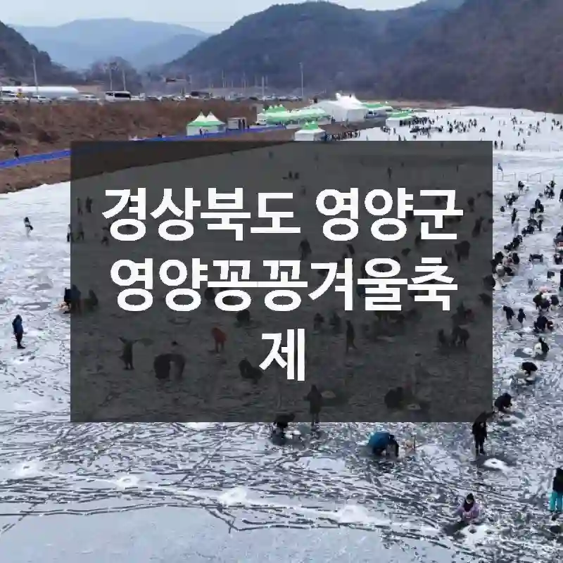 영양꽁꽁겨울축제 무조건 도움이 되는 정보! 찾아가는 길, 즐길거리 리스트, 알아두면 좋은 팁