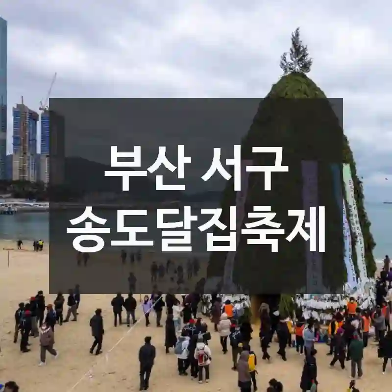 부산 서구
송도달집축제