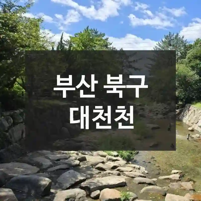 대천천 사전 체크 포인트! 위치 팁, 주요 콘텐츠, 리얼 팁 공개