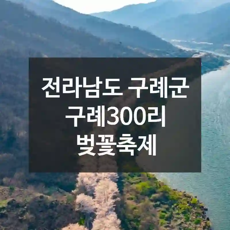 구례300리 벚꽃축제 후회 없는 방문법 – 현장 도착 정보, 먹거리 가이드, 유용한 팁